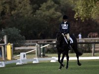 105 Moranzoni Elisabetta Ballyneety Fernhill